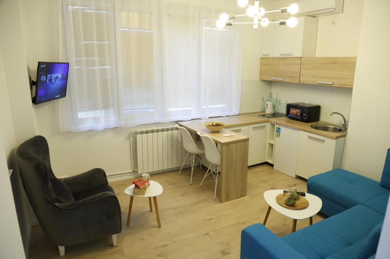Blue And Rose Cozy - Quiet In The Best Location - Self Check-In - 5Th Floor With Elevator Sarajevo Luaran gambar
