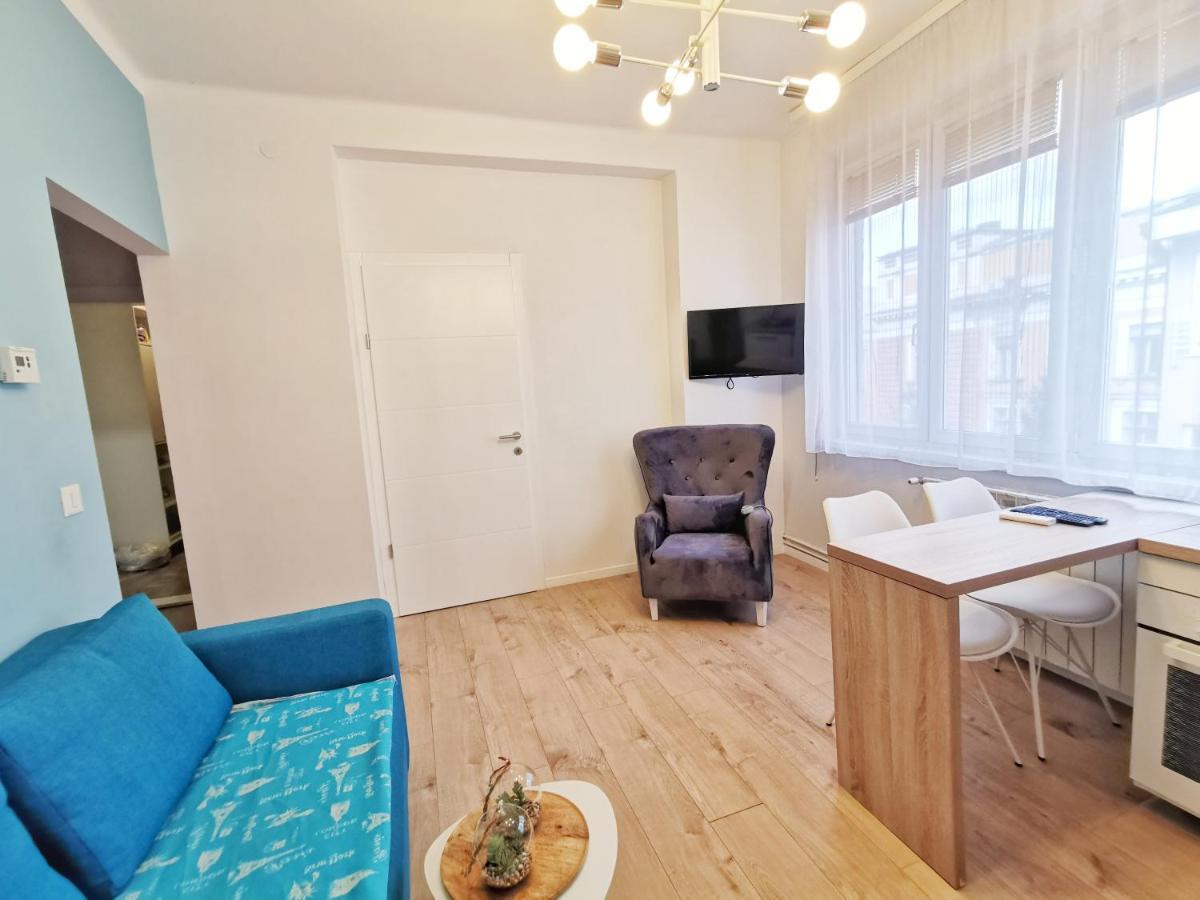 Blue And Rose Cozy - Quiet In The Best Location - Self Check-In - 5Th Floor With Elevator Sarajevo Luaran gambar